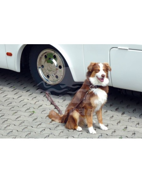 SOPORTE RUEDA MASCOTAS